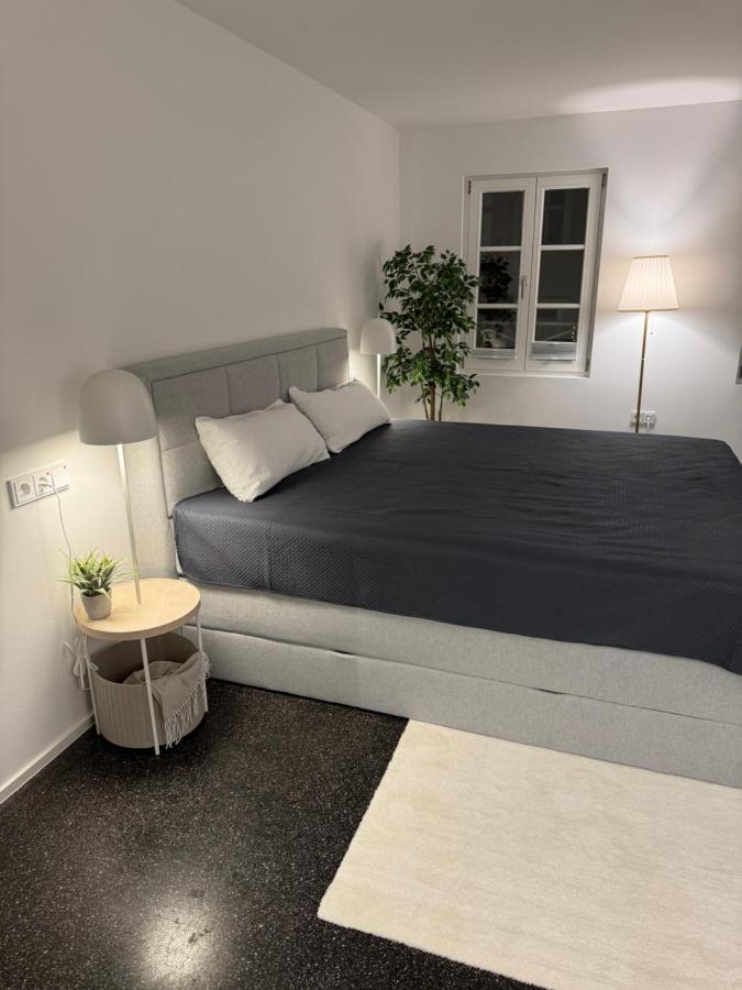 Isaak Appartment Stadtjuwel ヴァルツフート＝ティンゲン エクステリア 写真